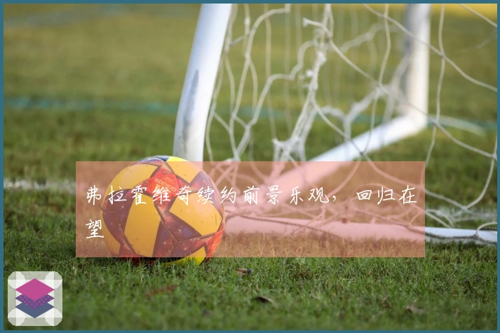 弗拉霍维奇续约前景乐观，回归在望