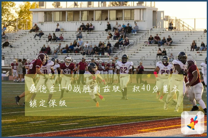 桑德兰1-0战胜利兹联，积40分基本锁定保级