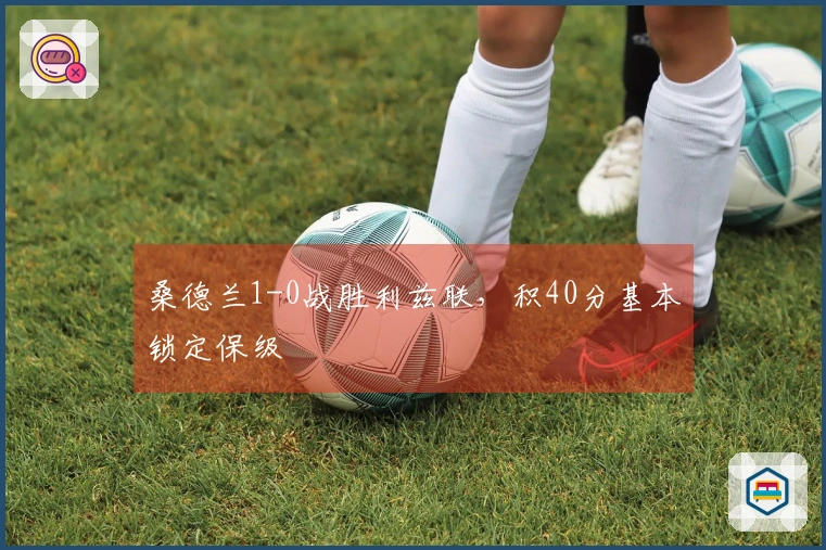 桑德兰1-0战胜利兹联，积40分基本锁定保级