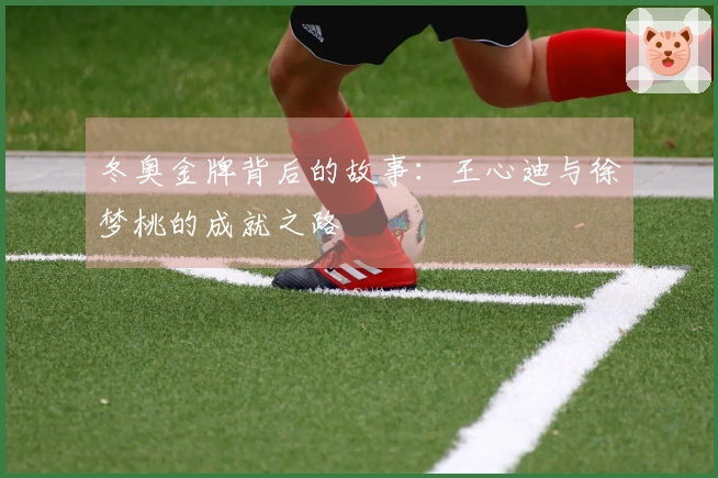 冬奥金牌背后的故事：王心迪与徐梦桃的成就之路