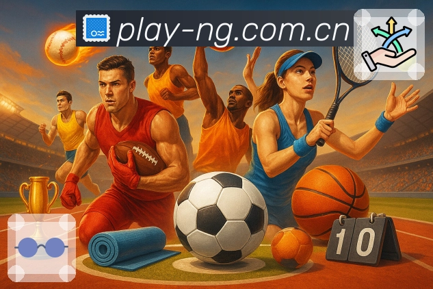 NG体育入口优化